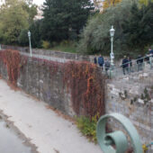  Sproing Pics (28/38)